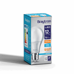 BA13-01223 LED SIJALICA 12W E27 A60 6400K