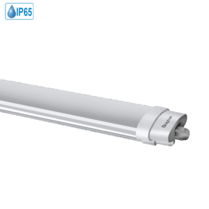BT02-00630  PROLINE 18W 6500K IP65