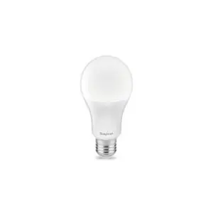 BA13-01321LED SIJALICA E27 13W 4000K