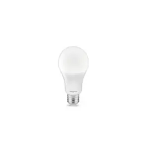 BA13-01320 LED SIJALICA E27 13W 3000K