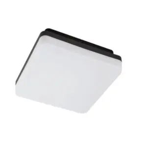 7250  PERNIK LED PLAFONJERA