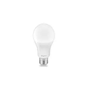 BA13-01323 LED SIJALICA E27 13W  6500K