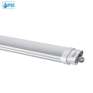 BT02-00630  PROLINE 18W 6500K IP65