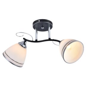 XA1250C/2 INA LUSTER E27X2